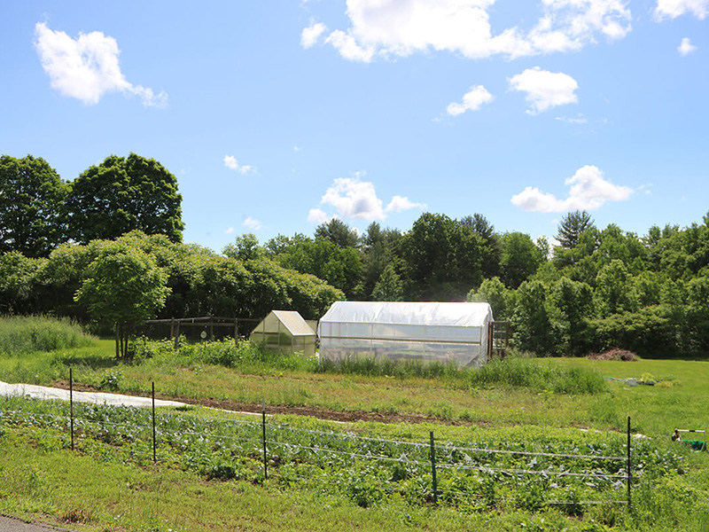 Hart Farm